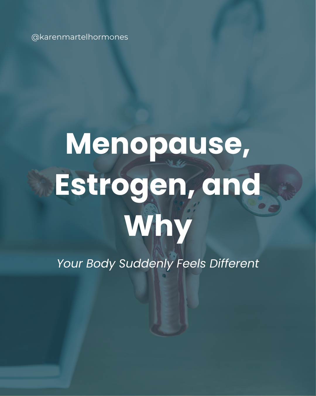 Menopause, Estrogen, and Why Your Body Suddenly Feels Different