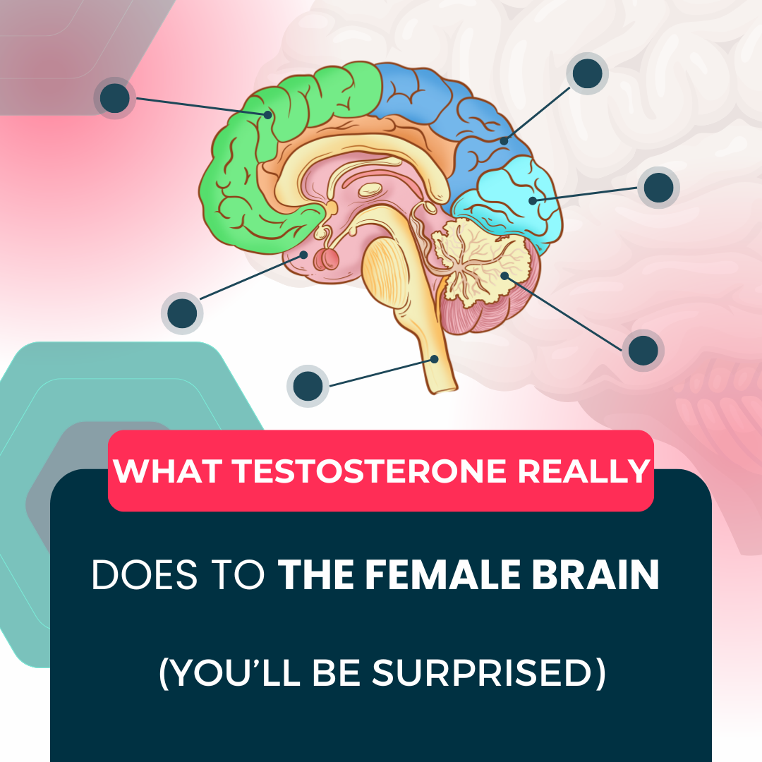 What Testosterone Really Does to the Female Brain (You’ll Be Surprised)