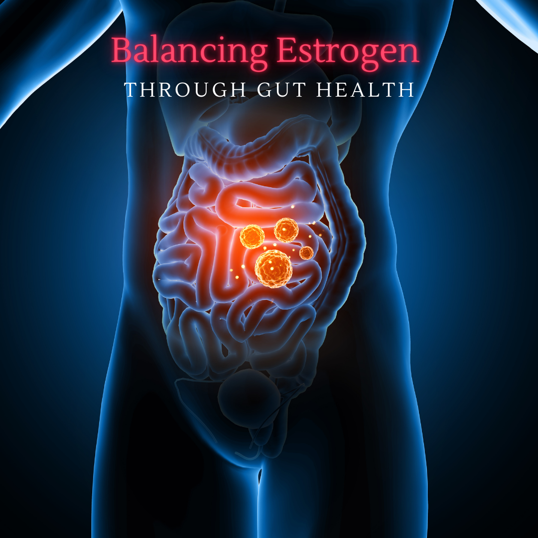 Balancing Estrogen Through Gut Health