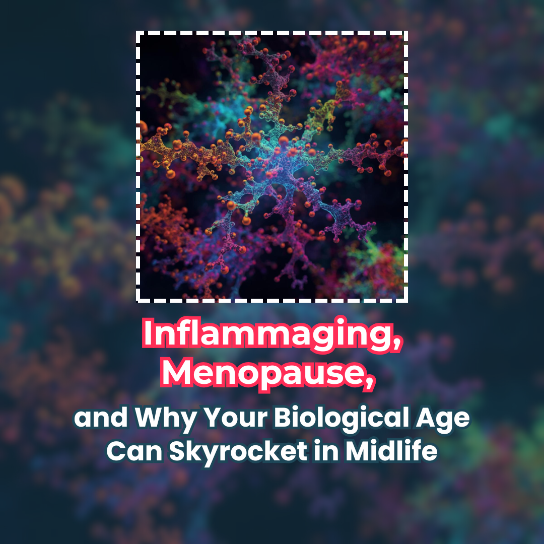 Inflammaging, Menopause, and Why Your Biological Age Can Skyrocket in Midlife