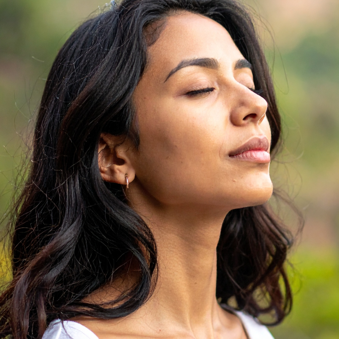 The Ultimate Perimenopause and Menopause Support Plan for Energy, Sleep, and Mood Balance