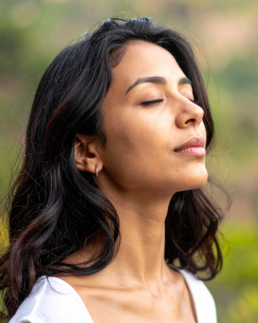 The Ultimate Perimenopause and Menopause Support Plan for Energy, Sleep, and Mood Balance