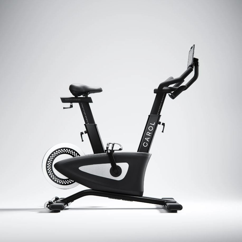 CAROL Bike - Karen Martel