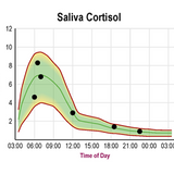 4-Point Saliva Cortisol Test Kit | At-Home Cortisol Rhythm Test